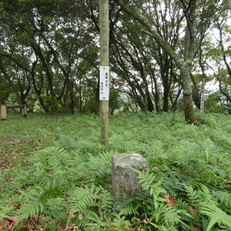 三等三角点 点名真如寺山148.3m