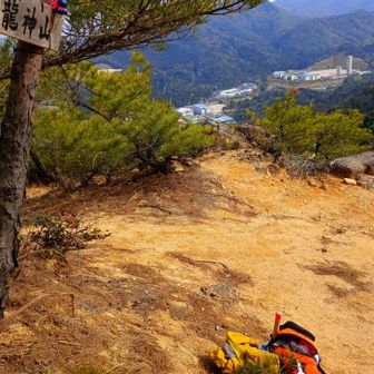 行動食😋小休止🐱