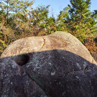 旗を立てた穴✨