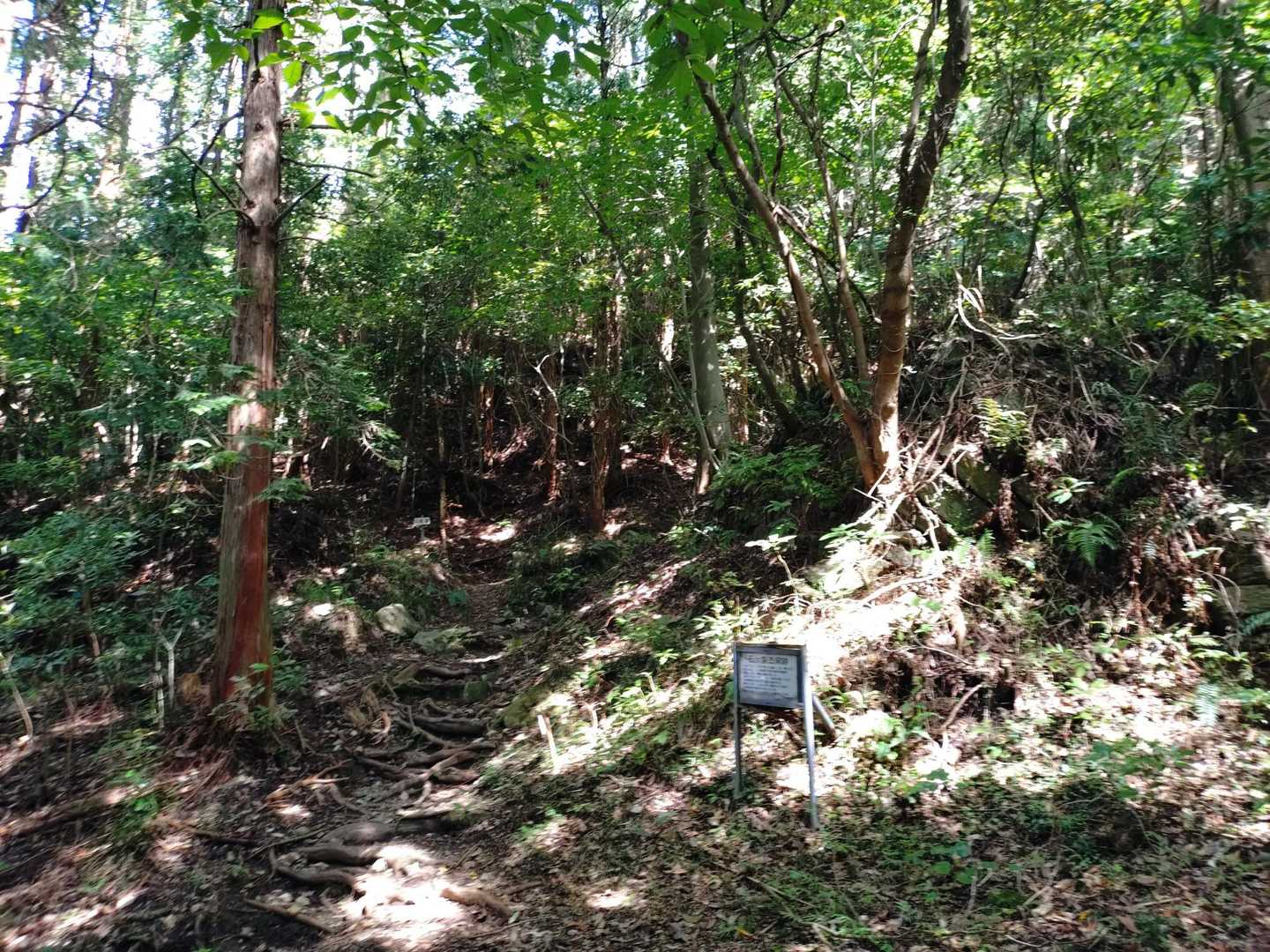 関の山登山口-関の山 往復コースの写真