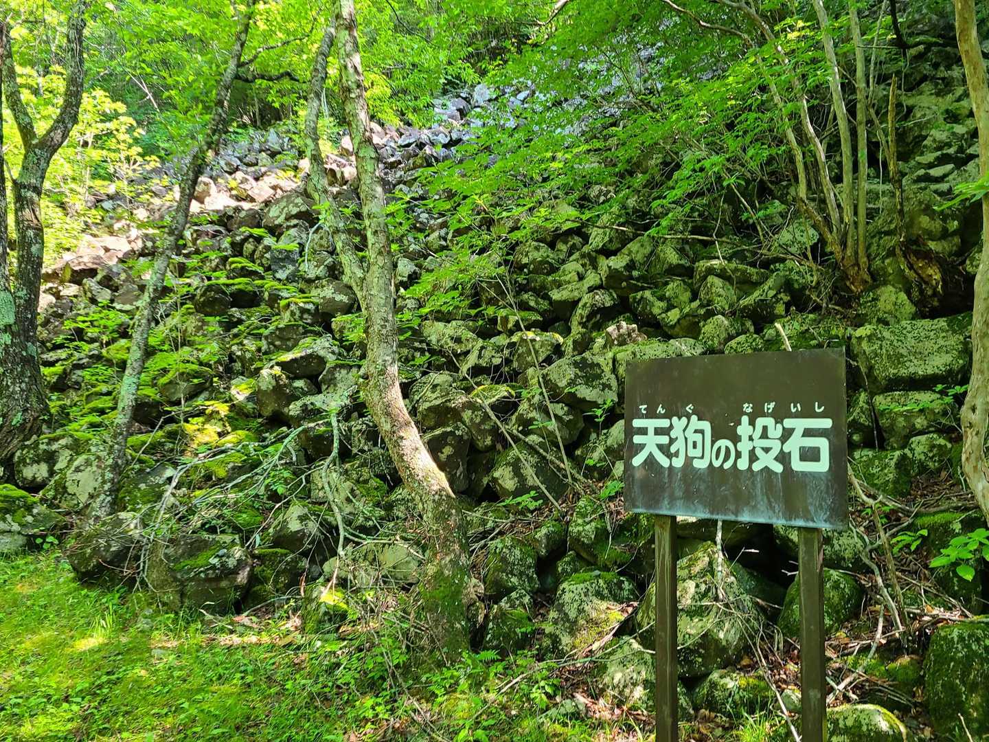 均等の石がゴロゴロ。どこかで見た風景