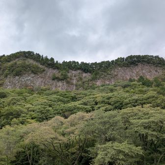 天然記念物の屏風岩🪨
今から天然記念物の上の稜線歩きを目指します🚶