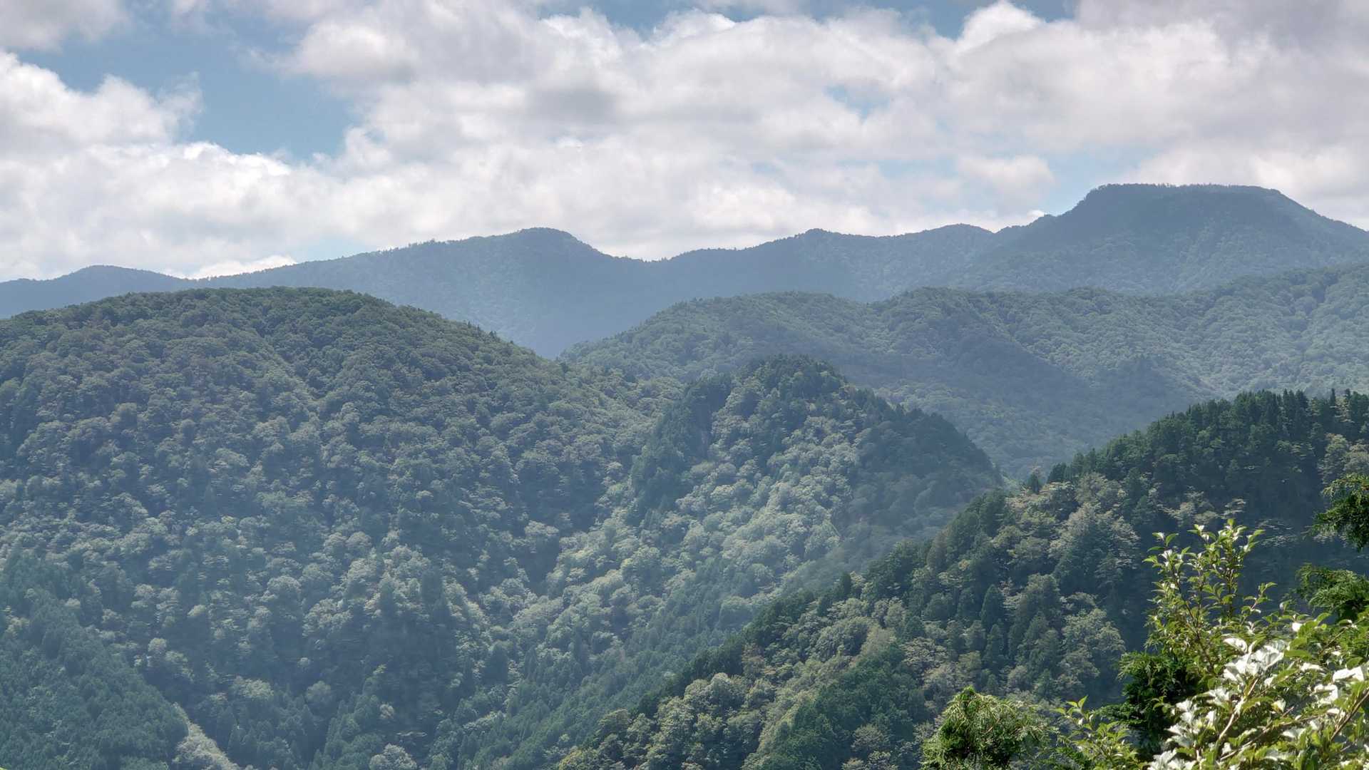 お立ち台(展望岩)から山上ヶ岳、手前に勝負塚山