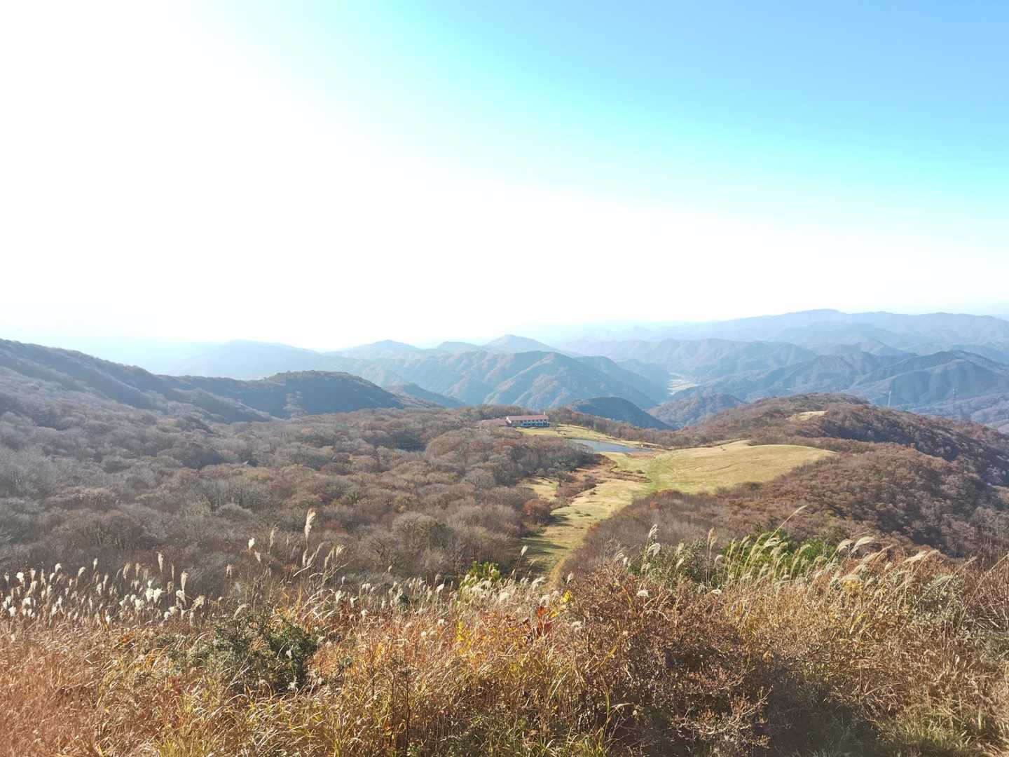 樹林帯を抜け展望の開けた所からパチリ📸
歩いてきた草原と山々⛰️