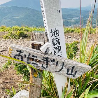 おにぎり山頂🍙