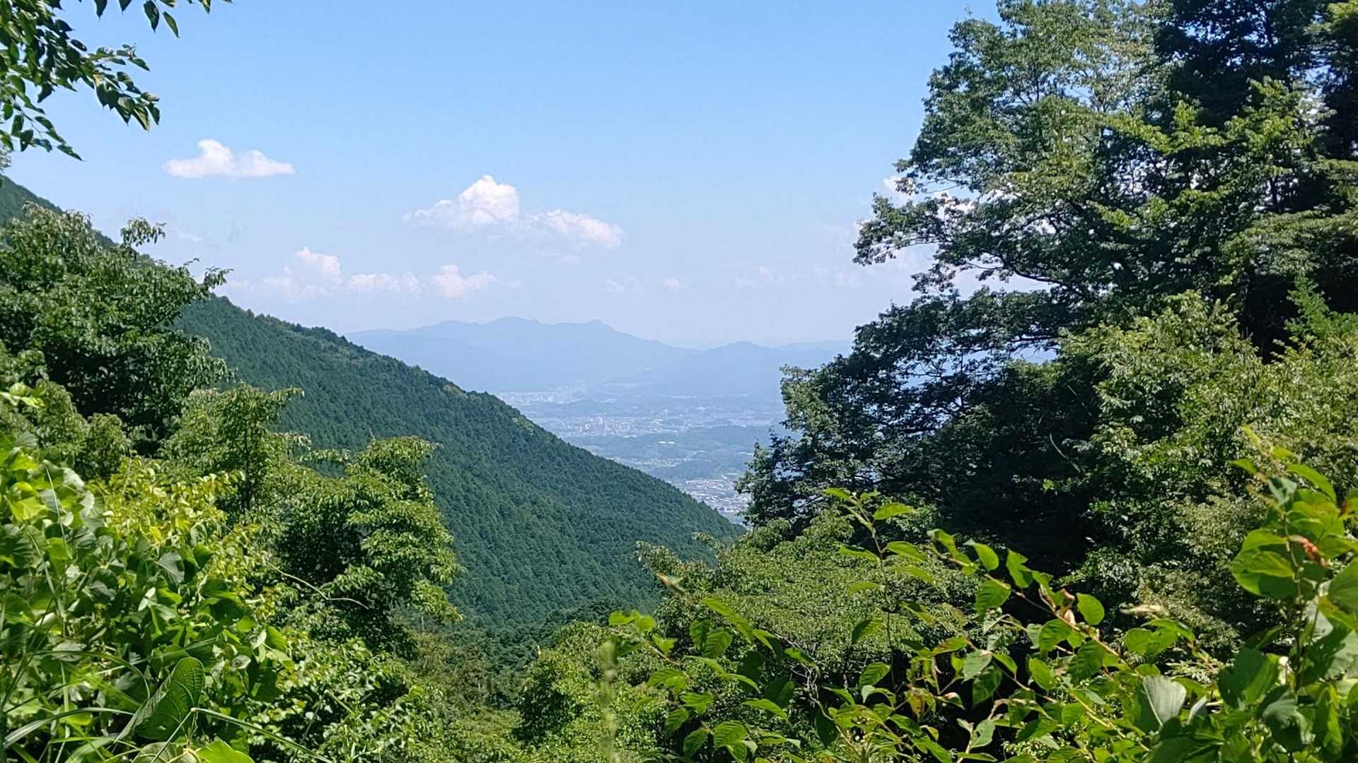 のんびり下りました。見えているのは御所方面かな？