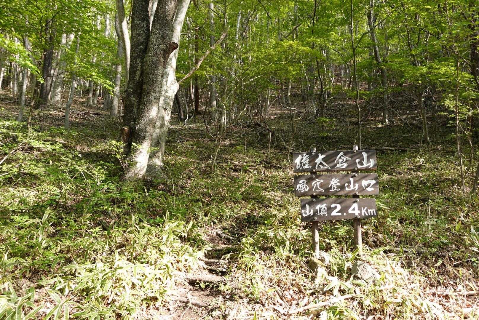お〜！
気持ちよく歩けそうな新緑の中へ引き寄せられてます🌿🌿🌿