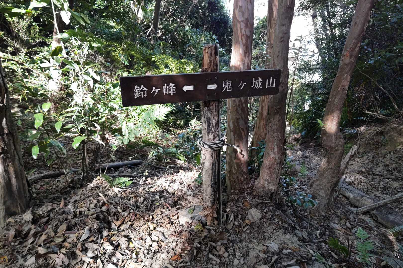 分岐点❗