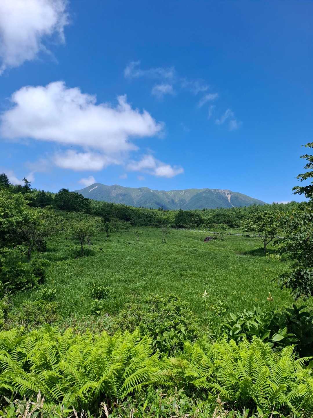 鬼が面山登山口-鬼が面山登山口-鬼が面山-中頭山 周回コースの写真