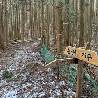 左は、ミツマタ群生地からのルート。前方へ進みます。