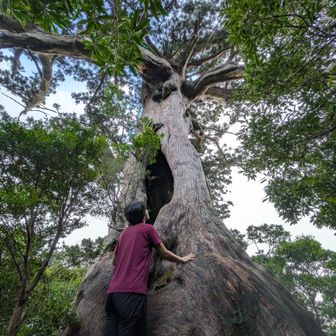 後ろに回って。
年齢差2900年以上☘️