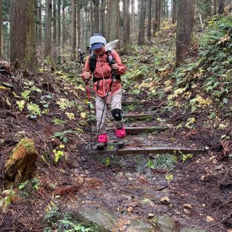 最後の吉峰寺への参道を下ります