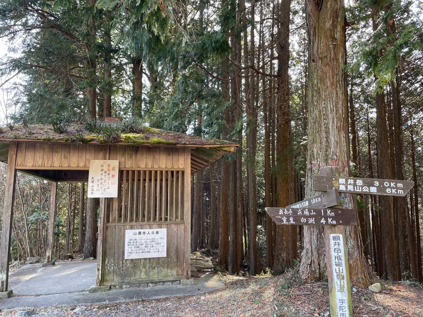十八神社-額井岳-戒場峠-戒場山-戒長寺 周回コースの写真