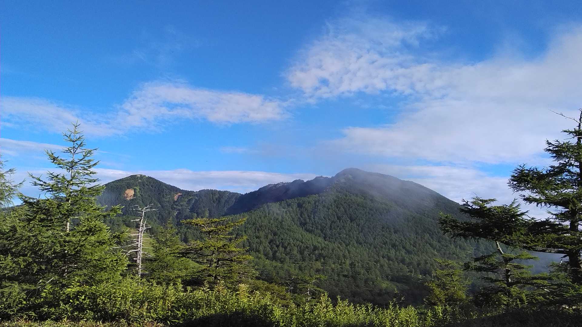 目指す水の塔山