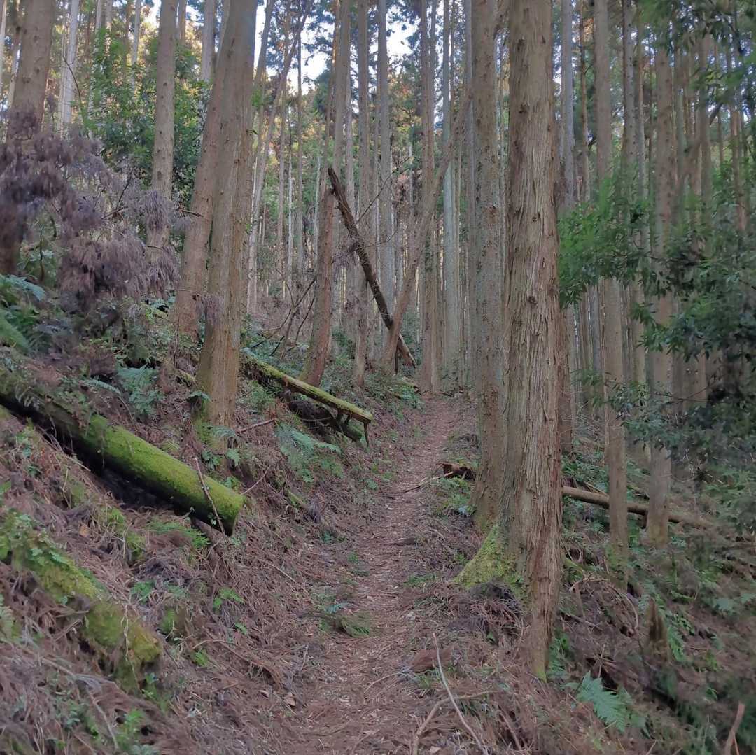 二股山登山口-二股山-下沢城跡 周回コースの写真