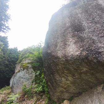 夫婦岩
