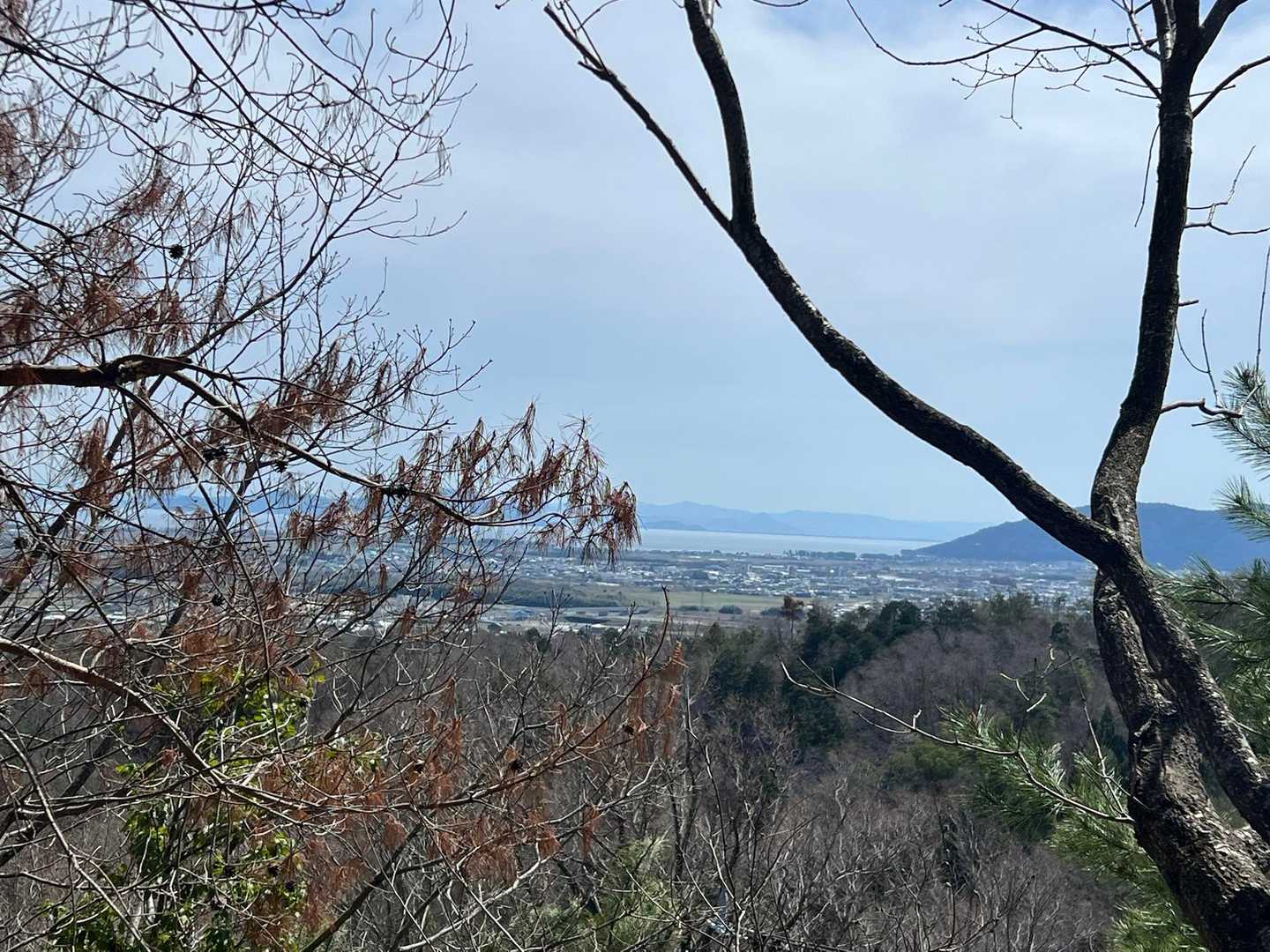 低山だけど琵琶湖が見える