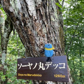 どんな名前