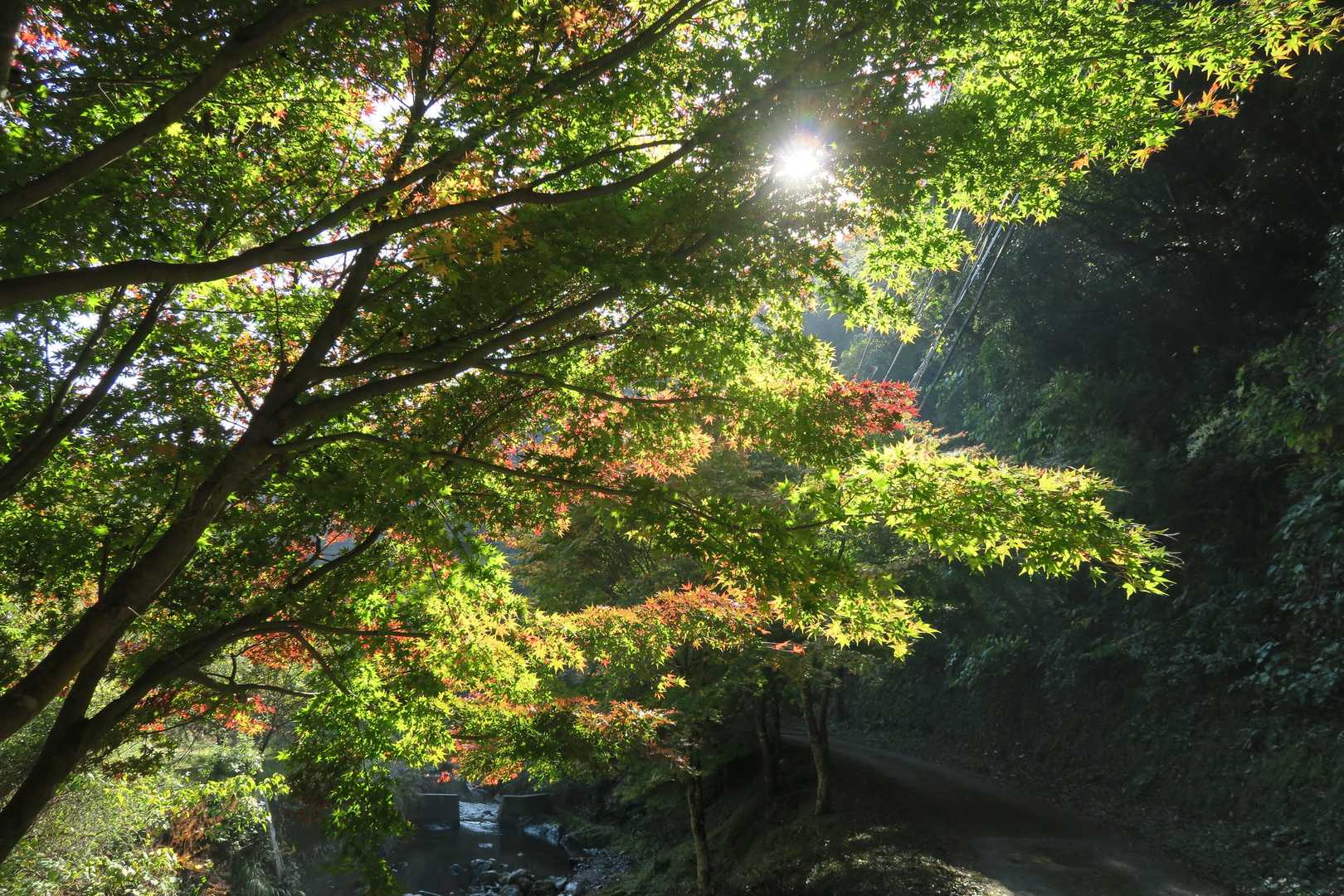 真妻山 周回コースの写真