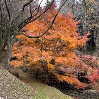 ここは大丈夫でしょ😣