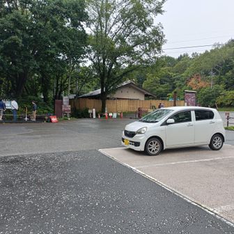 奥社入口の駐車場🅿️に移動して駐車