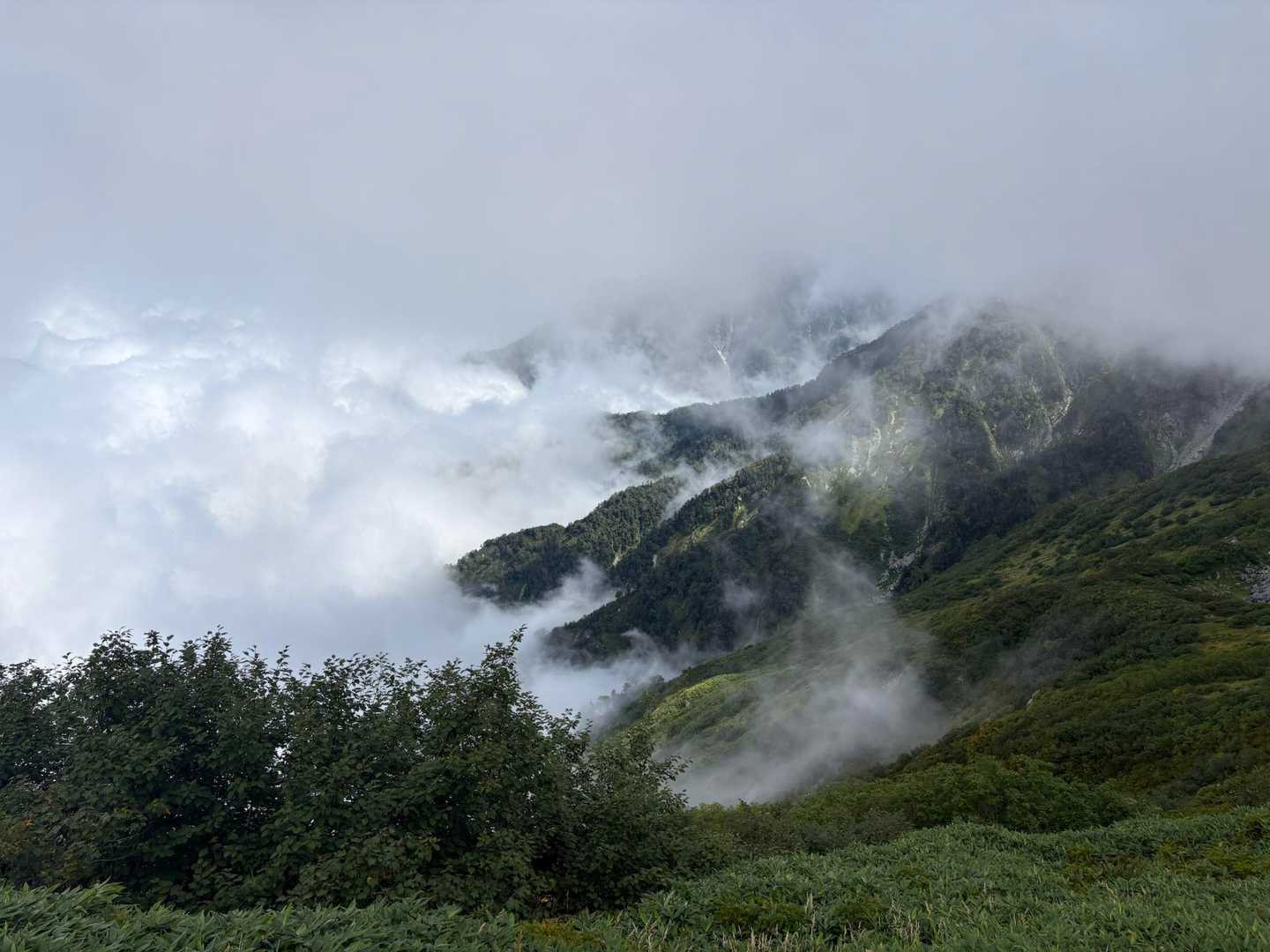 山頂 風が冷たい。
軽めのダウン着る


薄ら 山肌だけでも 美しい
この雰囲気 好き🫶


