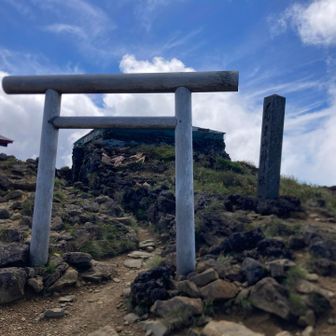 山頂の熊野神社。