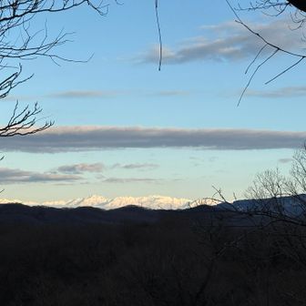今年こそは登りたい