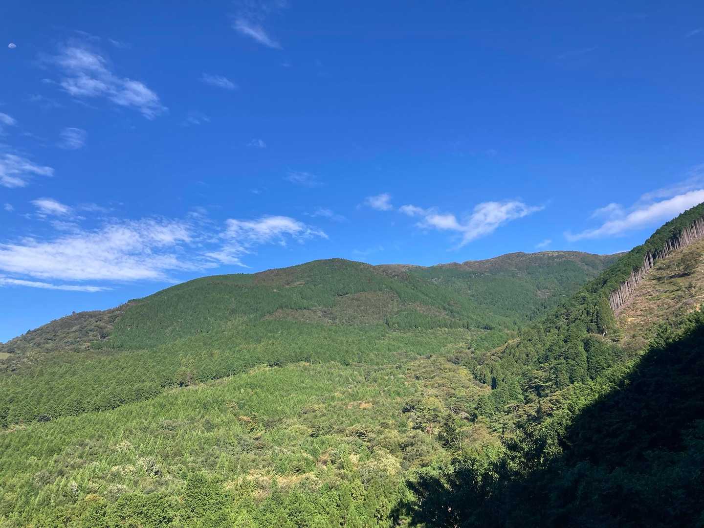 那岐山？
いやいや稜線みたい
