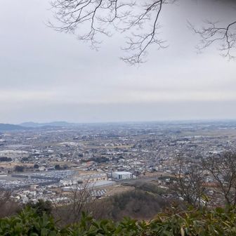 山頂からの景色