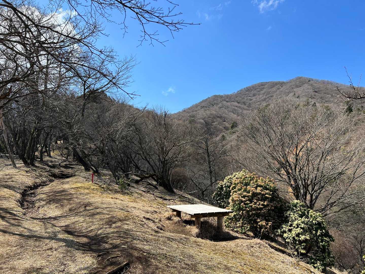 大山を振り返って📸