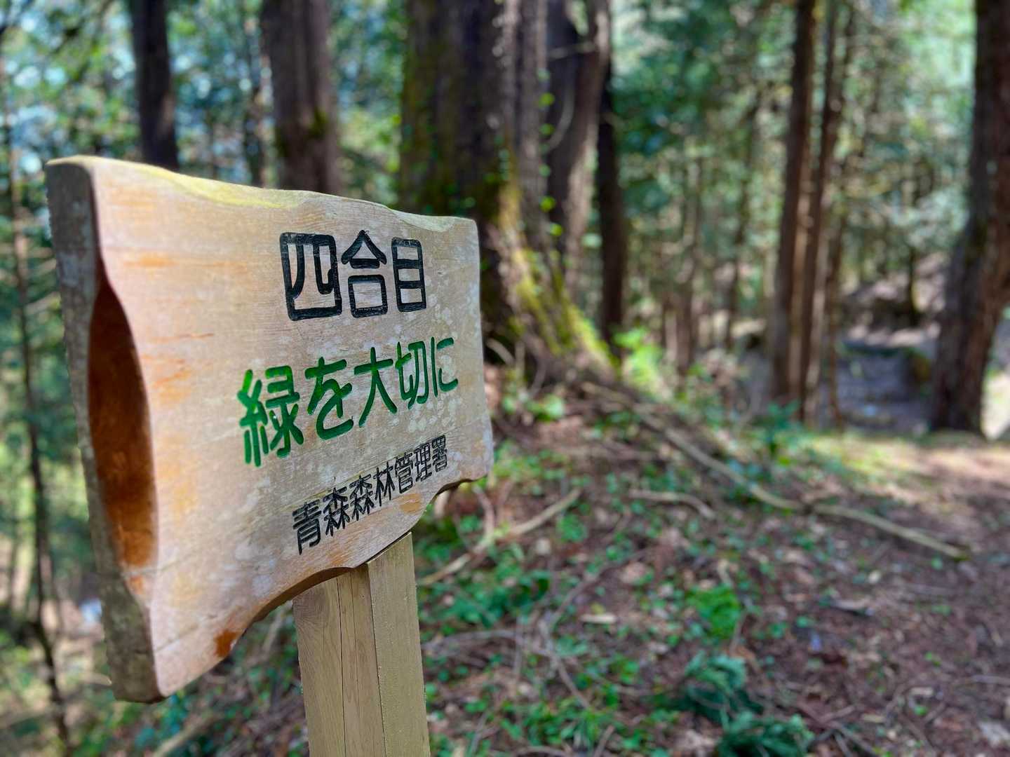 緑を大切に…
この山の植生も大切に…