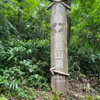 なんか、カッコ良い😎