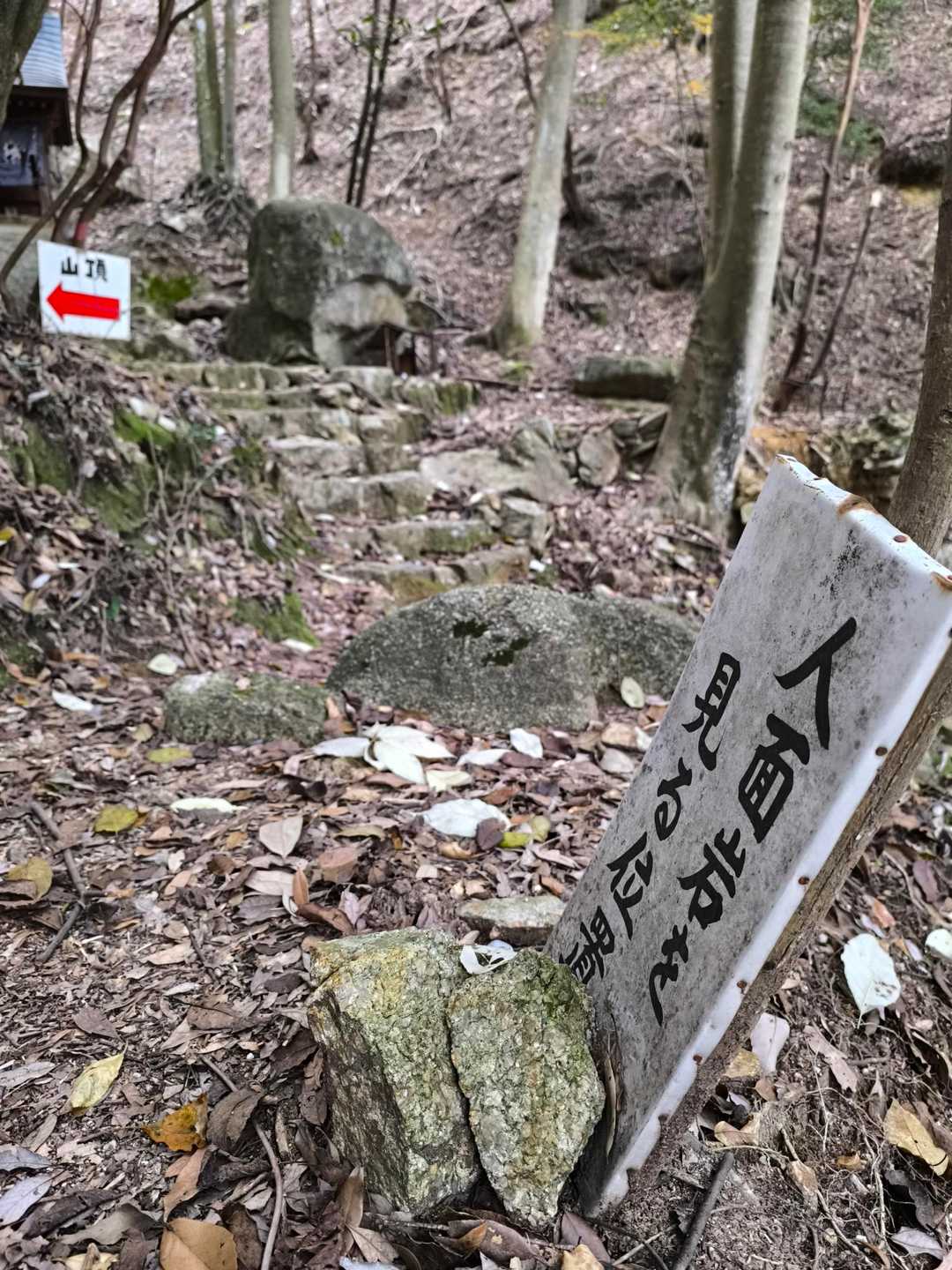 人面岩に到着。
ここから向こうの岩をみるんだって。