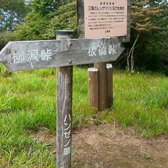 あっという間にハンゼノ頭とうちゃこ！
ここが三窪高原の中心でレンゲツツジが見事な時期だけは人が来るが基本は静か✨