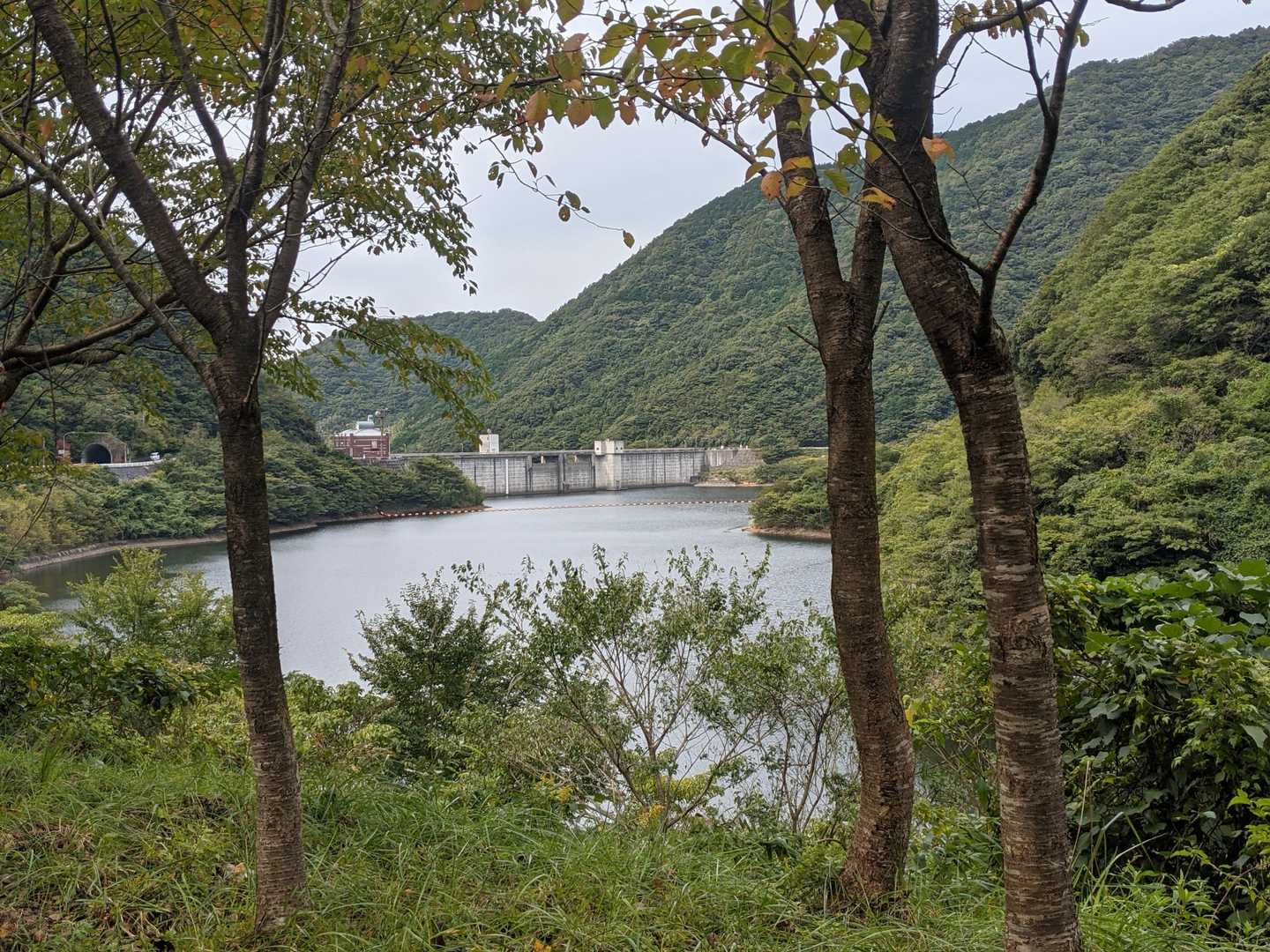 福智山ダムまで降りて来ました😁