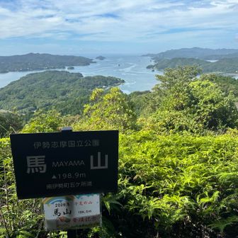山頂からの景色