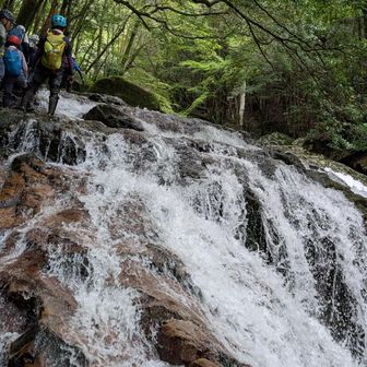 ゴーゴー水が流れる