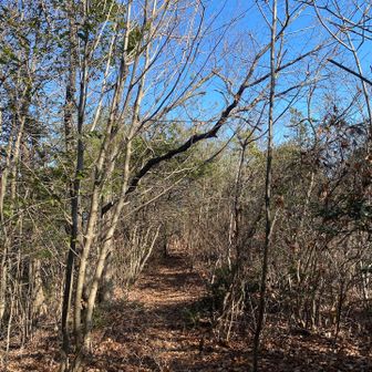各務原アルプス縦走は、ココを通るんですね😊💪