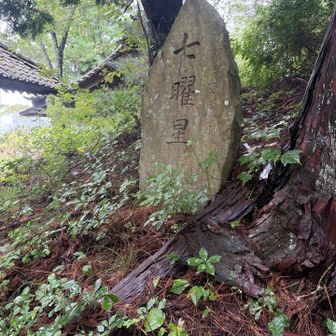 陰陽師か何かの由来かな⁉︎