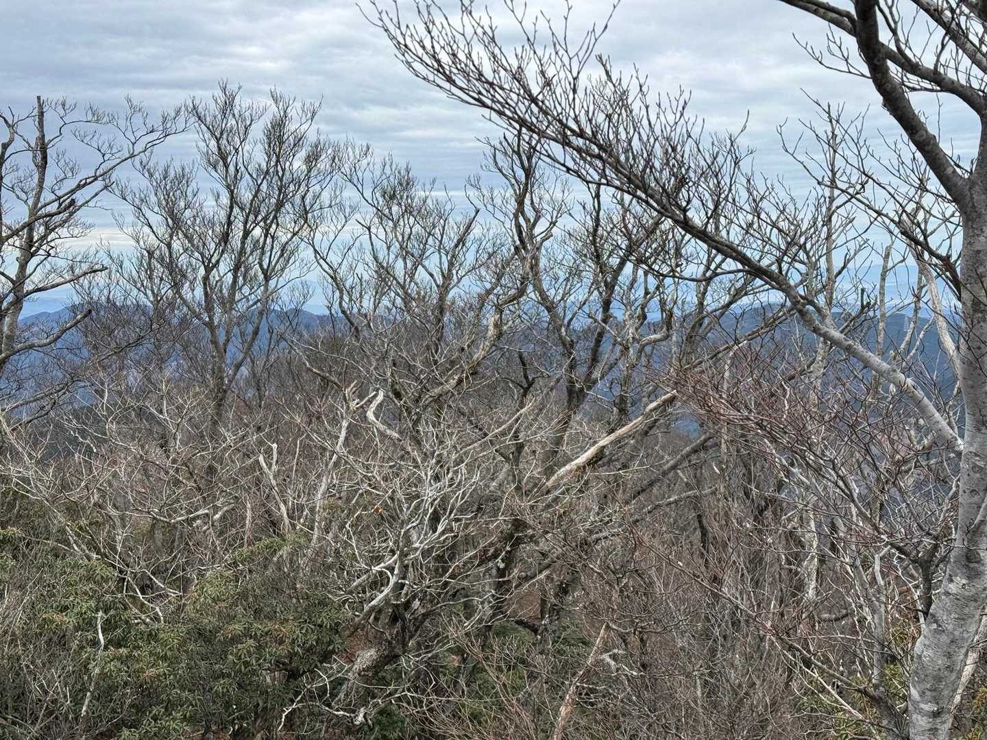 元井谷登山口-仰烏帽子山 往復コースの写真