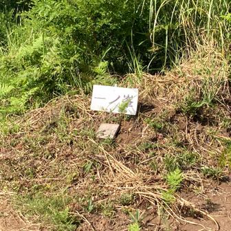 いつも忘れる登山口撮影
珍しく忘れずパシャリ