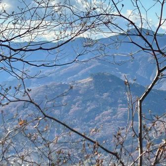 正面、手前の山頂近くが開けている山が宝登山⛰️