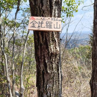 本日三座目の金比羅山に到着しました😊