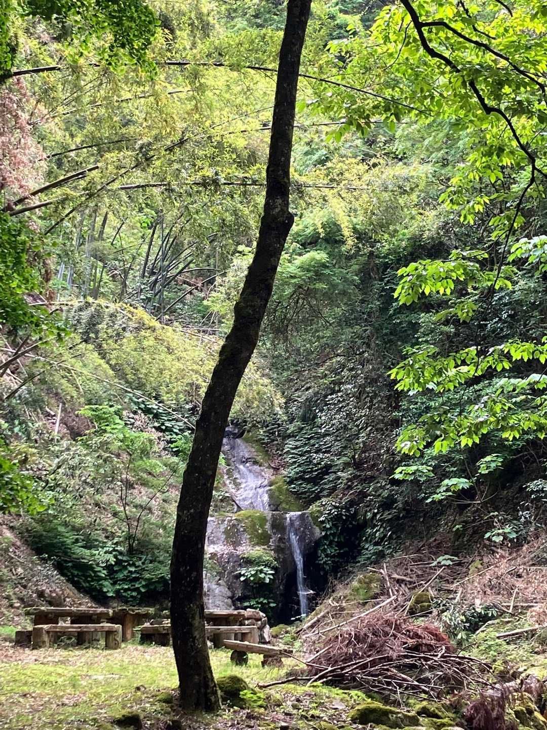 蓮台山登り口-蓮台山-久斗山-久斗山 縦走コースの写真