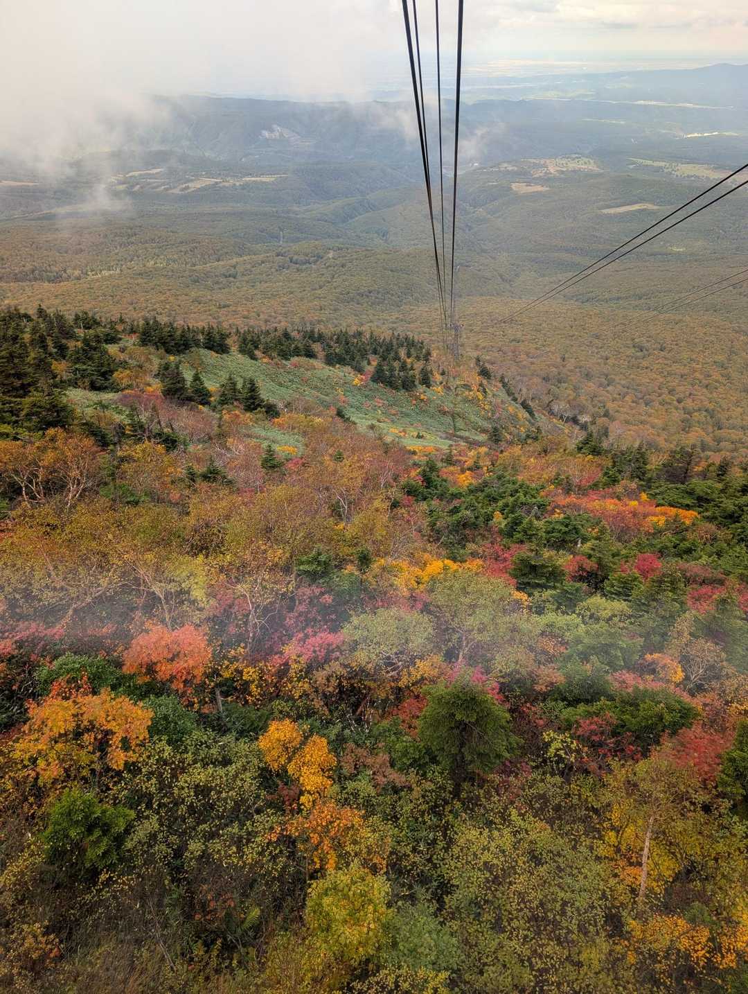八甲田ロープウェイ山頂公園駅-田茂萢岳-井戸岳-毛無岱湿原 縦走コースの写真