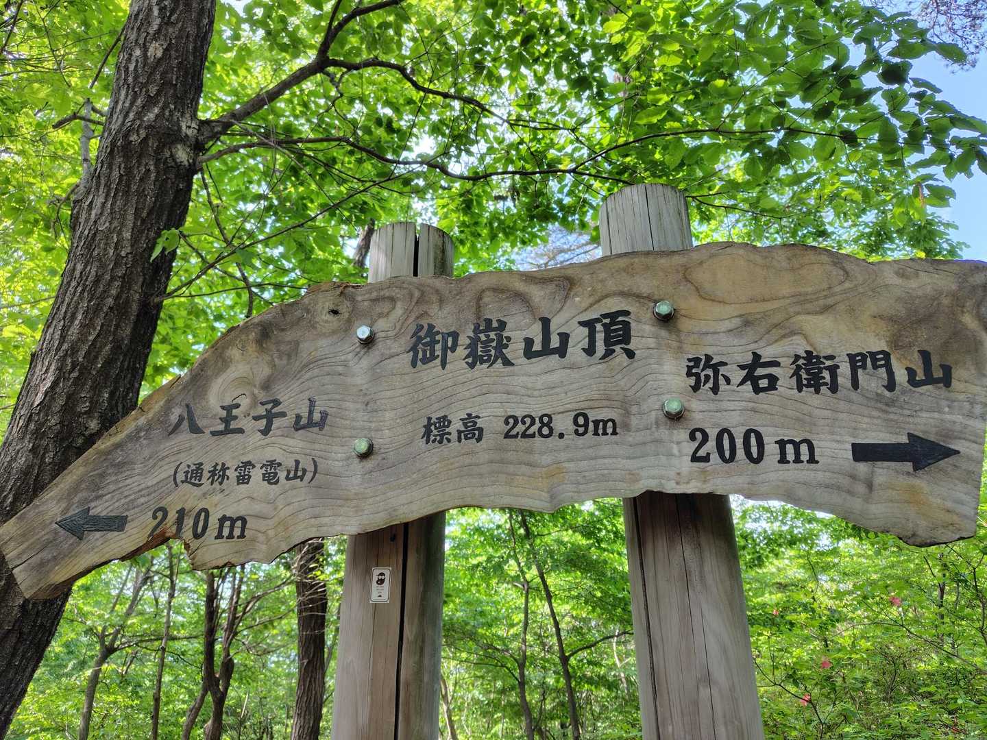 鹿田山-道帰り山 縦走コースの写真