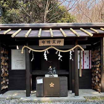 守護天神🙏🏻
この辺りがYAMAP山頂です