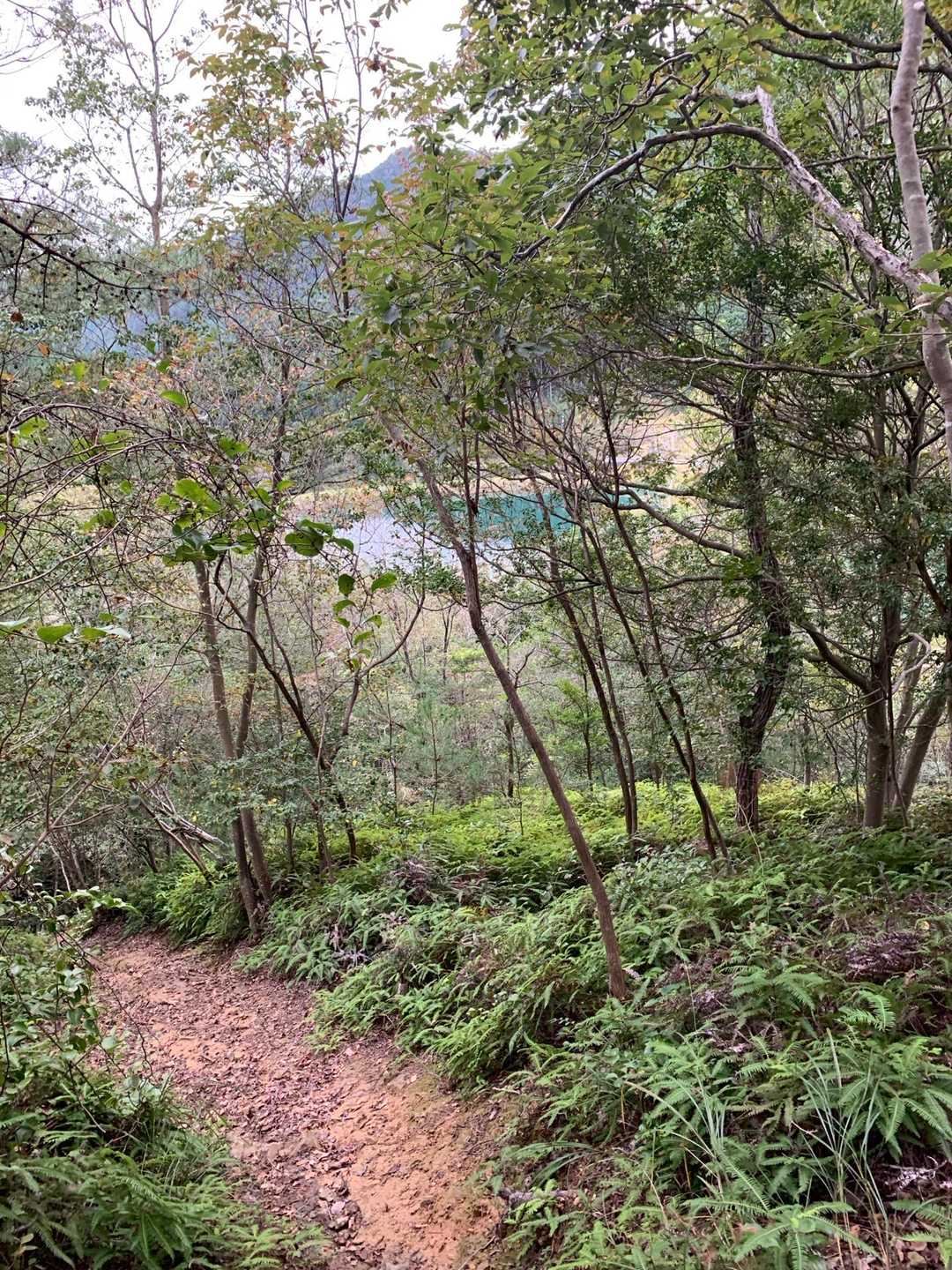 池はまだ近くに見えます