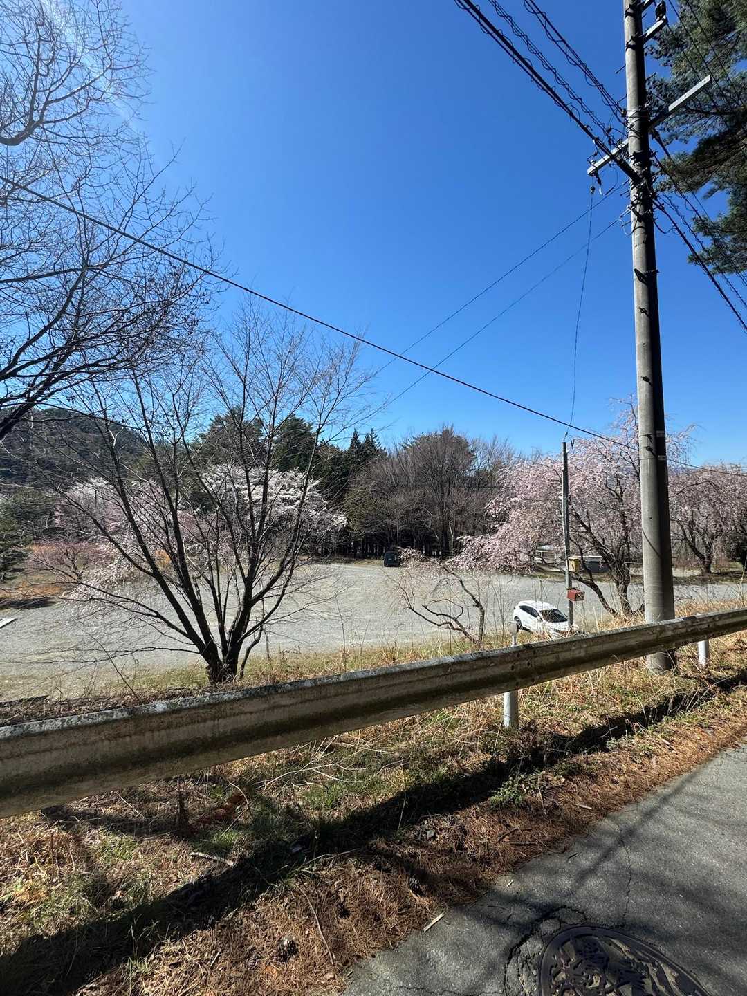 ただまー
